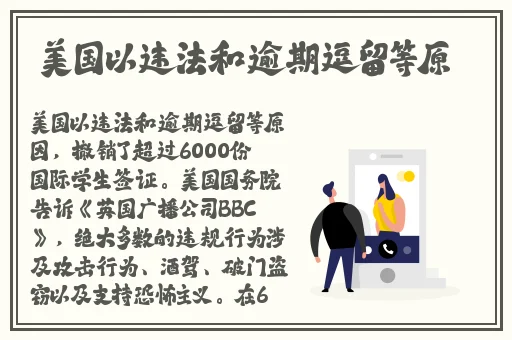 小猪视频app在线观看免费观看